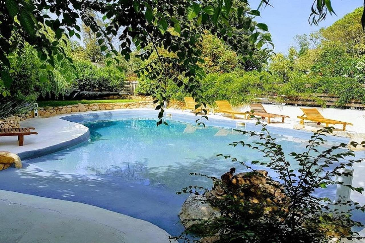 Salvacintoggio -Votre Villa Avec Piscine Privee- Porto-Vecchio  Exterior photo